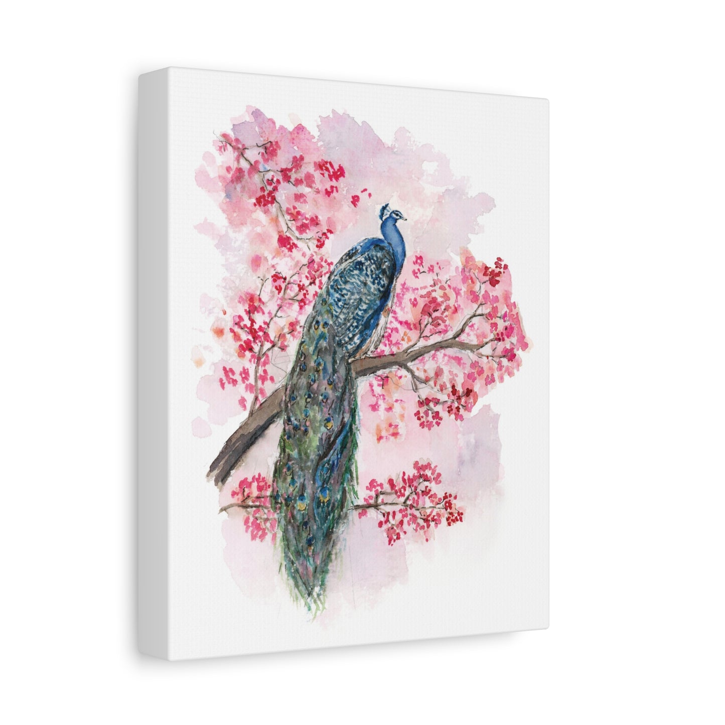 Peacock facing Right - Stretched Canvas by Lora Cavallin
