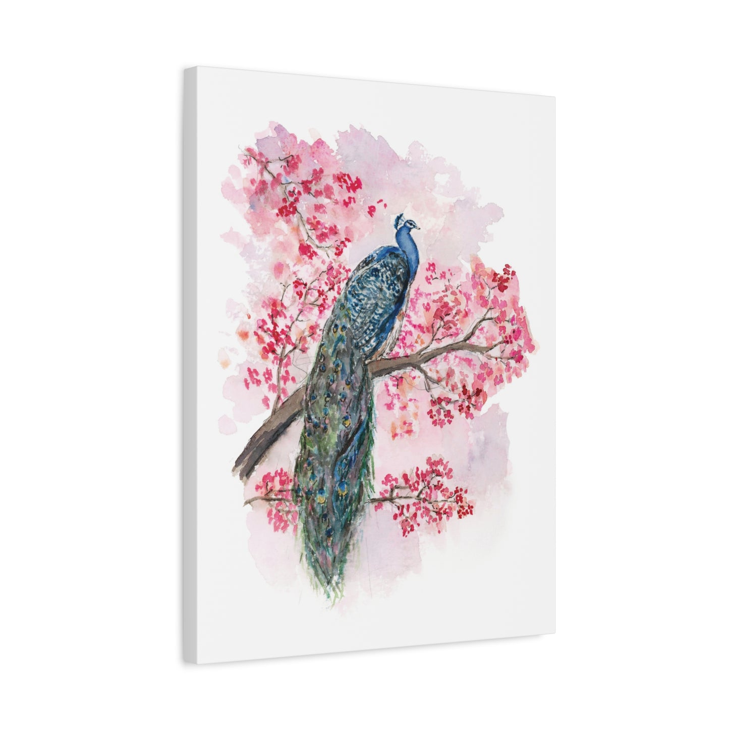 Peacock facing Right - Stretched Canvas by Lora Cavallin
