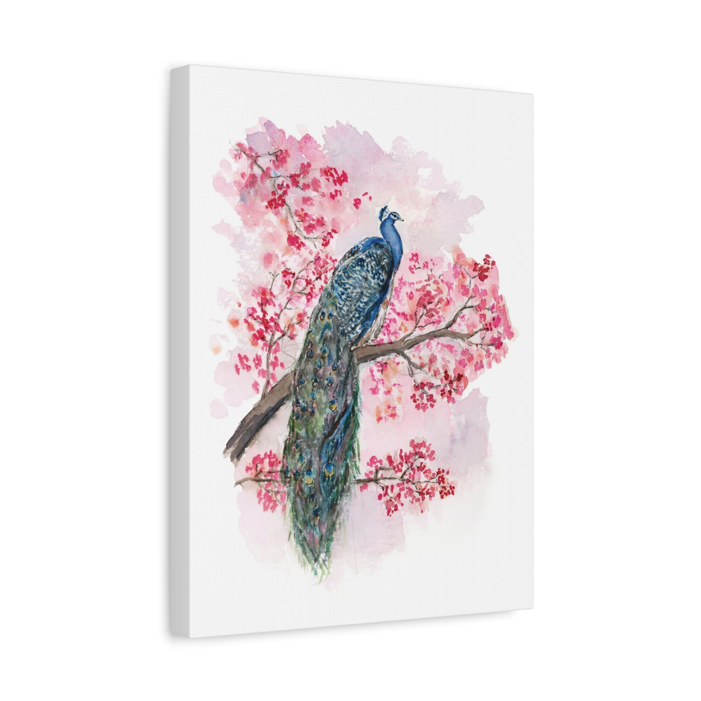 Peacock facing Right - Stretched Canvas by Lora Cavallin