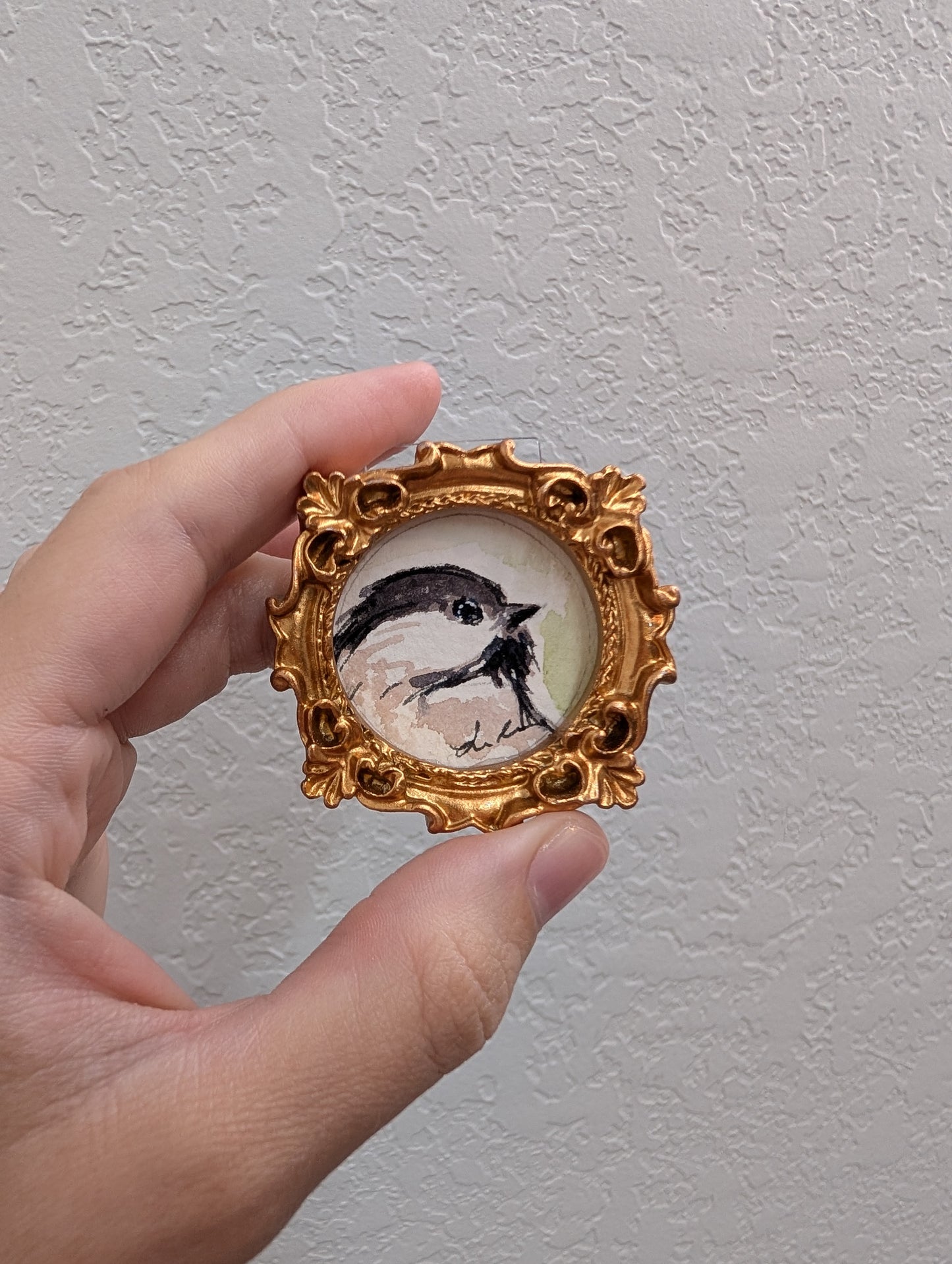 a hand holding a small picture of a bird