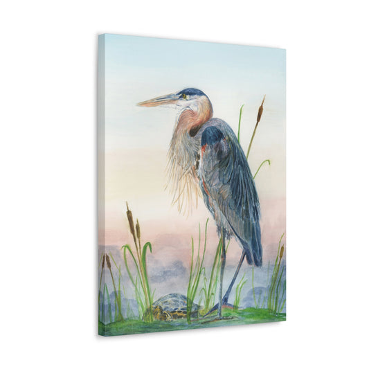 Great Blue Heron with Turtle Stretched Watercolor Art Canvas Gallery Wraps