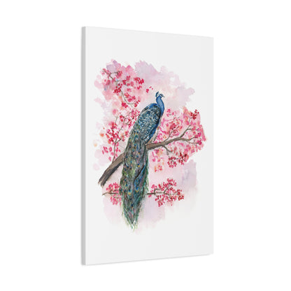 Peacock facing Right -  Stretched Canvas by Lora Cavallin