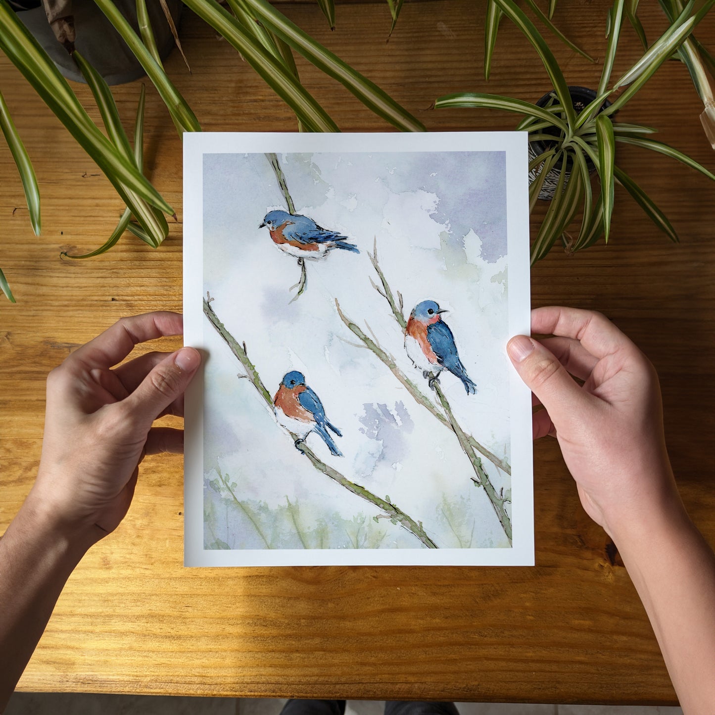 3 Blue Birds on Branches - Lora Cavallin Art - Not Framed, Print Only