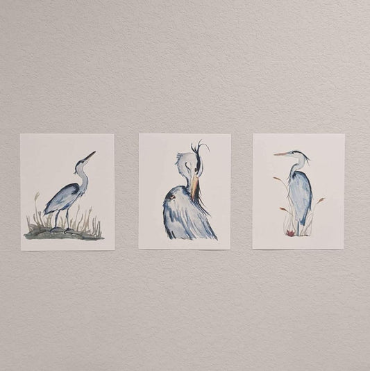 three paintings of birds are hanging on a wall