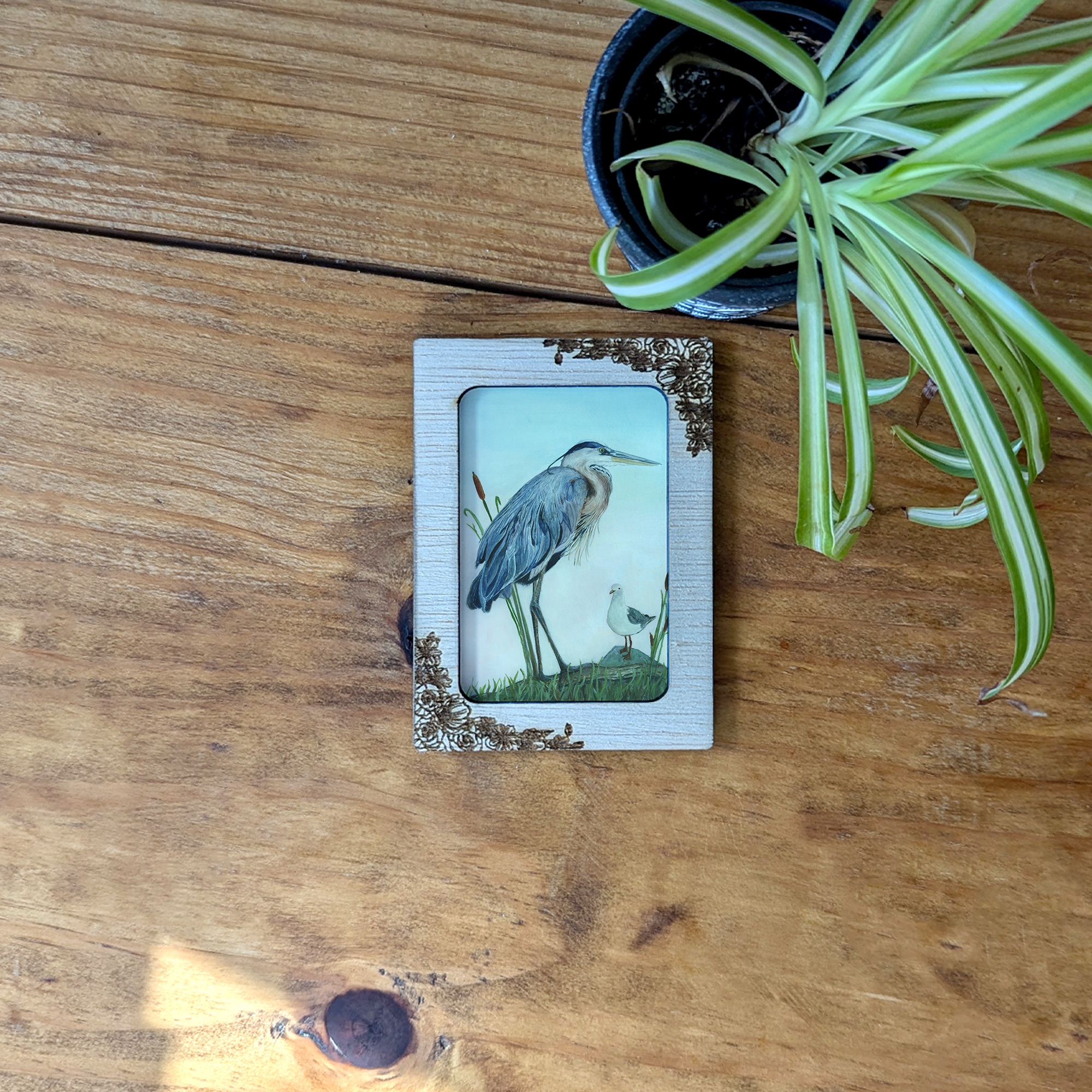 a picture of a bird on a wooden table