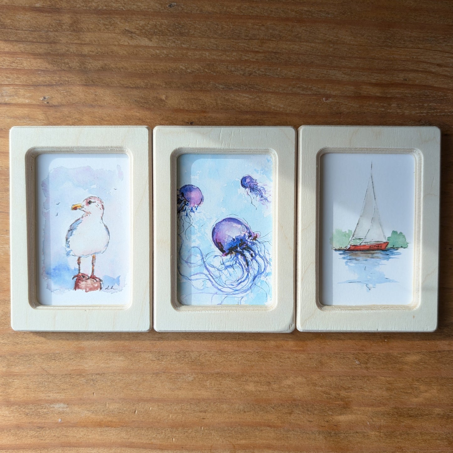 Set of 3 Nautical Designs - Mini Framed Prints - Jelly fishes, Sailboat and Seagull - Watercolor Art By Lora Cavallin- Miniframed