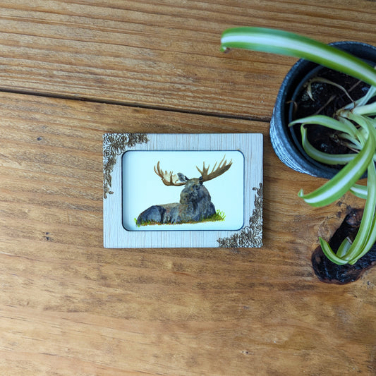 a picture of a deer laying down on a table