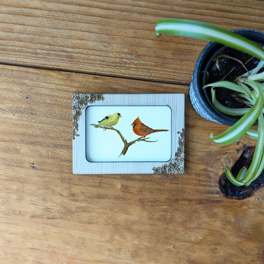 a picture of two birds sitting on a branch