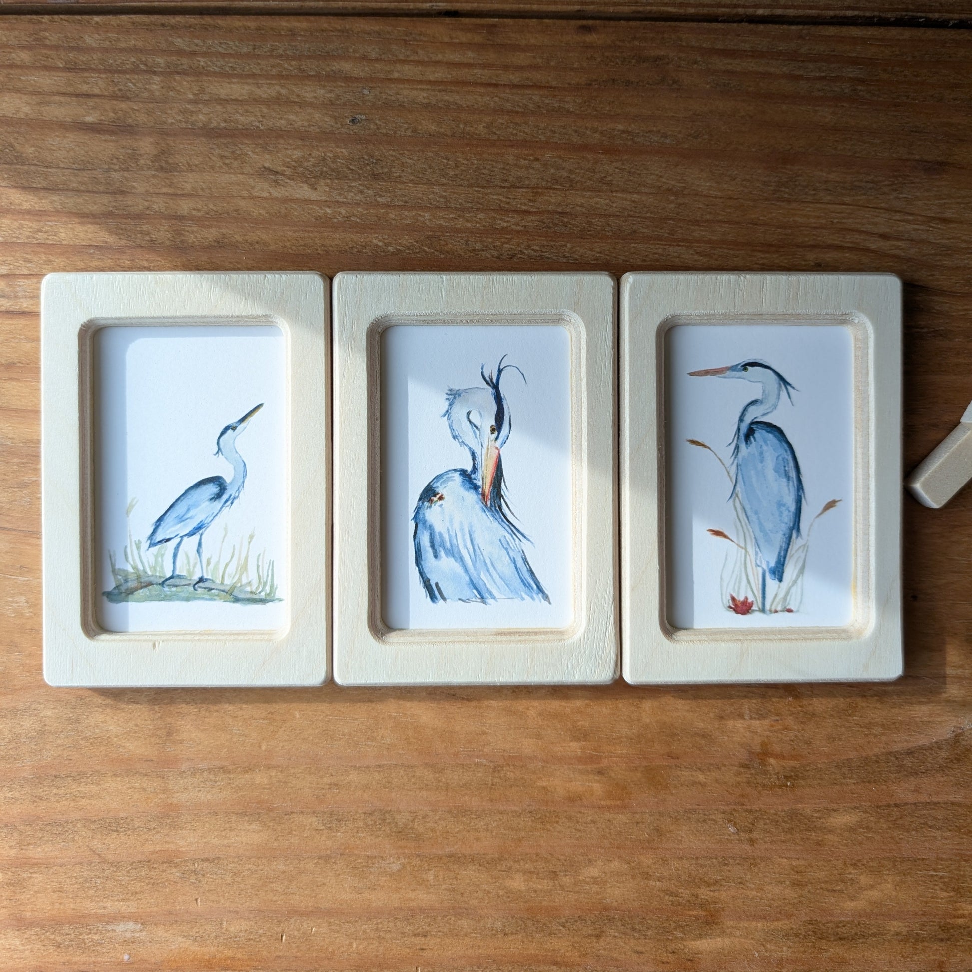 plain_frame_blue_heron_trio