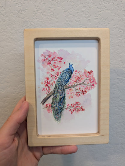 Peacock Facing Right Art Print - Solidframe Art by Lora Cavallin