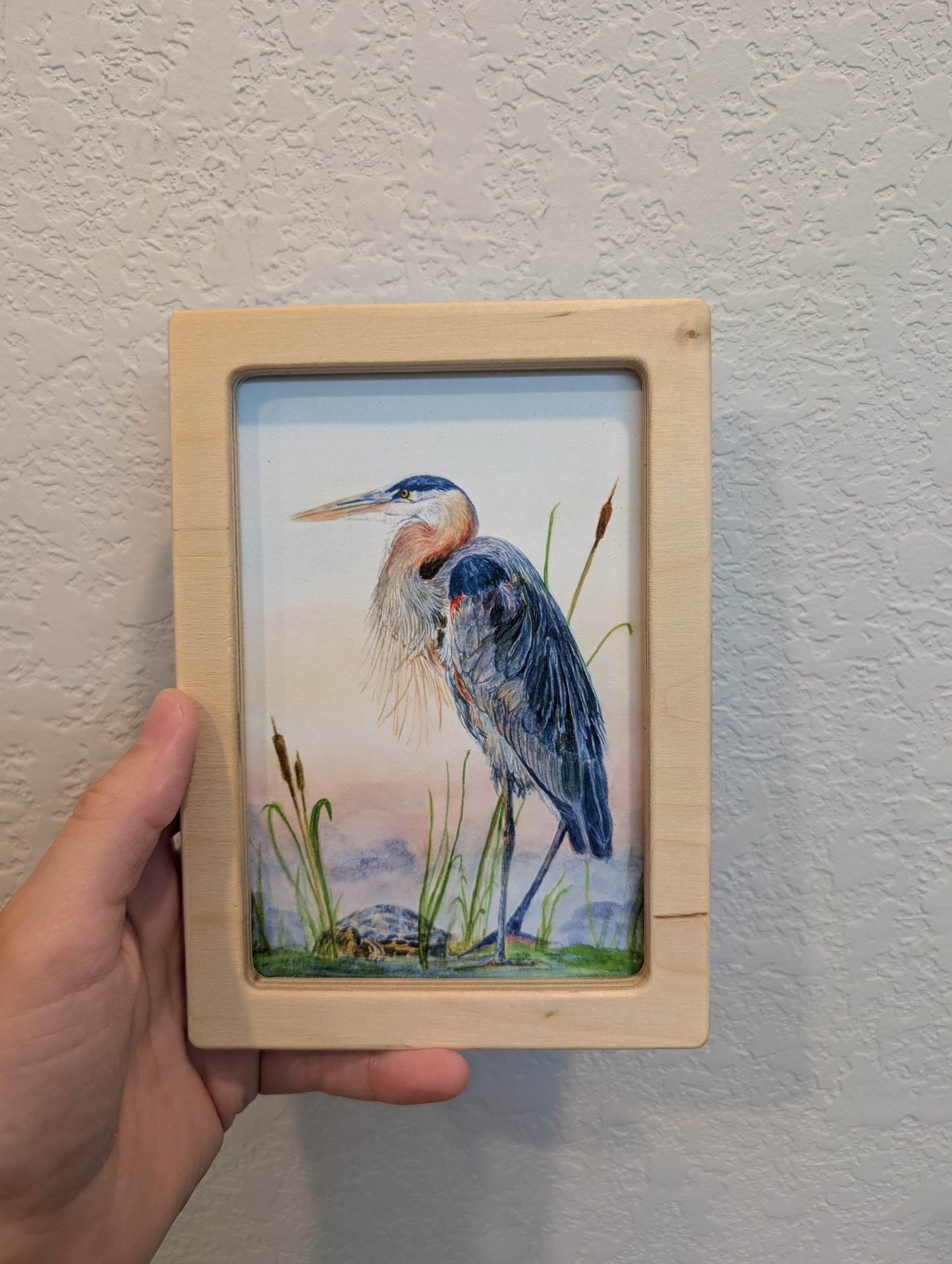 Blue Heron with Turtle Art Print - Solidframe Art by Lora Cavallin