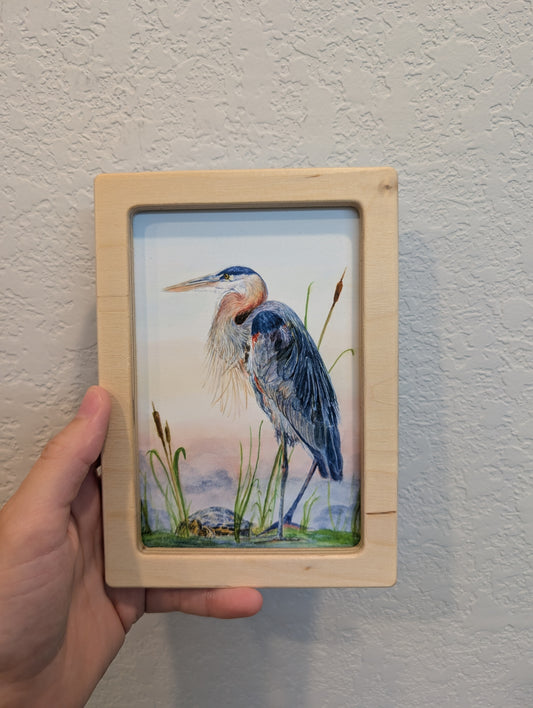 Blue Heron with Turtle Art Print - Solidframe Art by Lora Cavallin