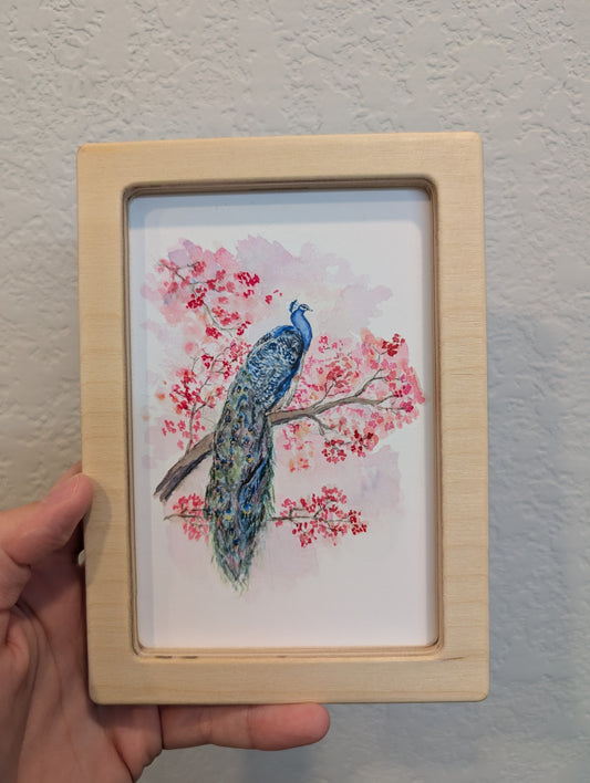 Peacock Facing Right Art Print - Solidframe Art by Lora Cavallin