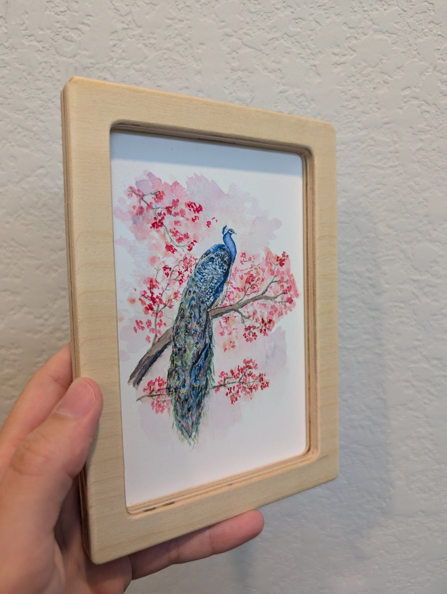 Peacock Facing Right Art Print - Solidframe Art by Lora Cavallin