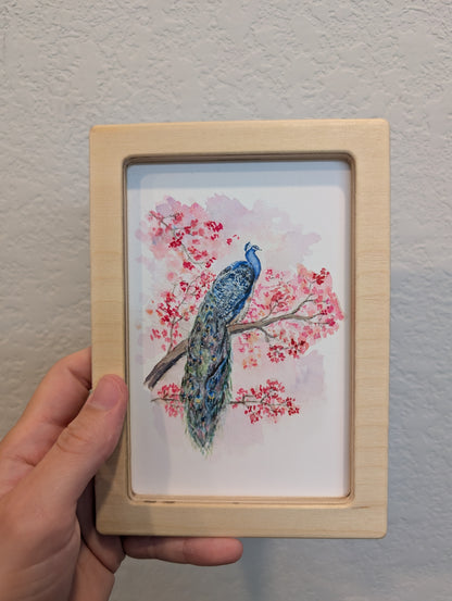 Peacock Facing Right Art Print - Solidframe Art by Lora Cavallin