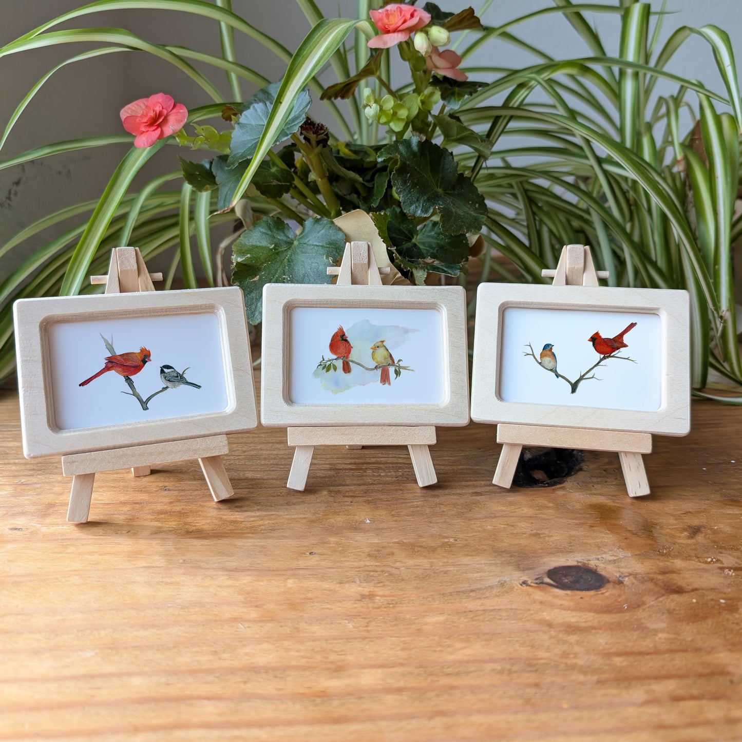 set of 3 red cardinals and blue bird and chickadee birds