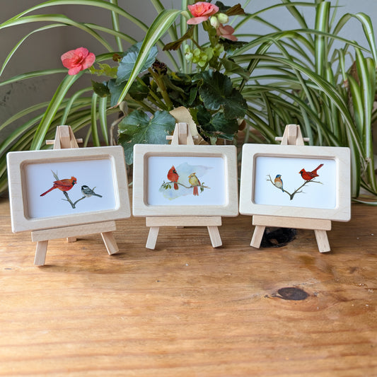 set of 3 red cardinals and blue bird and chickadee birds